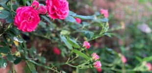 Гороскоп на 22 червня для всіх знаків зодіаку: день, коли свої дії необхідно ретельно продумувати