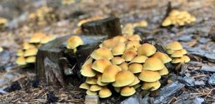 Гороскоп на 14 жовтня для всіх знаків зодіаку: найнебезпечніший день у всьому місячному календарі