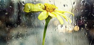 В Україну повернеться тепло і знов похолоднішає: синоптик дала прогноз до 12 червня