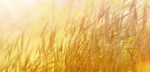 Гороскоп на 27 липня для всіх знаків зодіаку: день, коли потрібно йти до мети попри перешкоди