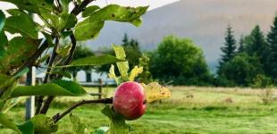 Гороскоп на 27 серпня для всіх знаків зодіаку: день, коли не варто реагувати на провокації