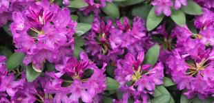 Гороскоп на 6 червня для всіх знаків зодіаку: дні, коли все, що станеться, виявиться невипадковим