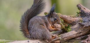 Прогноз погоди на 17 вересня: до України повертається тепло