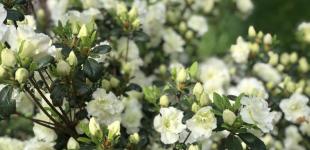 Гороскоп на 26 травня для всіх знаків зодіаку: день, коли потребуватимуть уваги незакриті питання