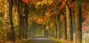 Гороскоп на 31 жовтня для всіх знаків зодіаку: день, коли не можна зраджувати себе