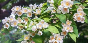 Гороскоп на 9 червня для всіх знаків зодіаку: день, коли треба рухатися вперед