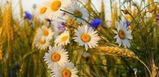 Йде різке похолодання: синоптикиня 