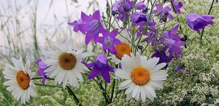 Йде різке похолодання: синоптикиня дала свіжий прогноз на початок тижня