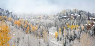 Гороскоп на 11 листопада для всіх знаків зодіаку: день, коли не можна лаятися і бажати людям зла