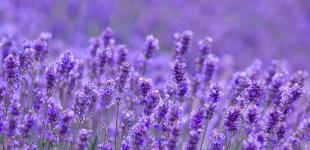 Гороскоп на 30 червня для всіх знаків зодіаку: день, коли потрібно займатися тим, що приносить задоволення