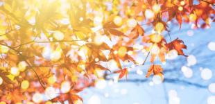 Гороскоп на 3 листопада для всіх знаків зодіаку: день сприятливий для відновлення справедливості