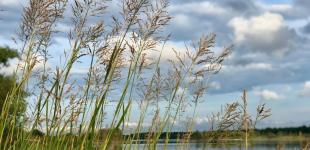 Гороскоп на 4 вересня для всіх знаків зодіаку: день, коли можна розраховувати на вигідні пропозиції