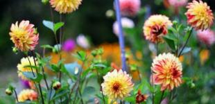 Спека потроху піде на спад: синоптики дали прогноз на початок тижня в Україні