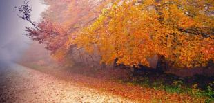 На Україну насувається холодна та дощова погода: синоптики дали прогноз на жовтень