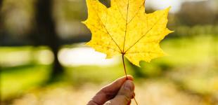 Коли до України повернеться тепло