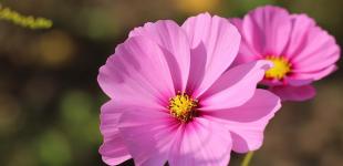 Опади не бажають покидати Україну: прогноз погоди на 3 липня