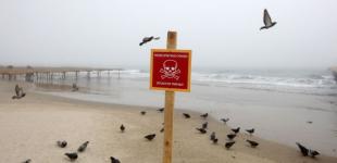 Три країни НАТО хочуть створити підрозділ для розмінування Чорного моря, - Bloomberg