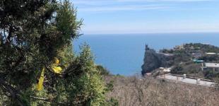 ЗСУ вже цього року можуть зайти до Криму: військовий експерт назвав ознаки