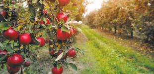 Гороскоп на 7 вересня для всіх знаків зодіаку: день, коли все вдасться