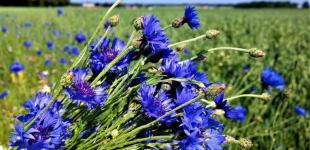 Буде справжня холодина: Україну в серпні накриє неприємність