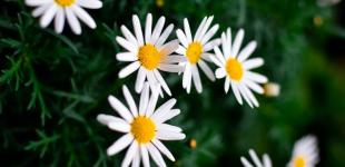 Дощі, град та шквали вітру. Синоптики розповіли, де 28 червня чекати негоду