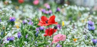 Коли спаде спека в Україні