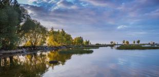 Гороскоп на 7 серпня для всіх знаків зодіаку: день, коли можна заробити гроші своїм розумом