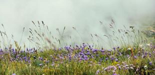 Спека до +30 градусів, але подекуди будуть дощі: прогноз погоди в Україні на 27 червня