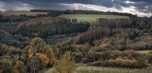 Погода 25 жовтня: Україну накриють дощі та сильний вітер