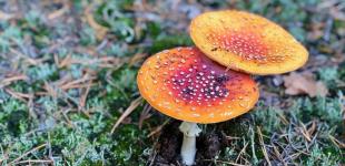 Гороскоп на 7-8 жовтня для всіх знаків зодіаку: дні, коли треба бути обережними