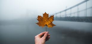 Де в Україні погіршиться погода: прогноз на 4 листопада