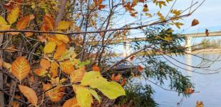 В Україні на вихідних буде аномальне тепло, але є нюанс