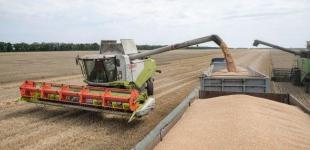 Врожайність ранніх зернових в Україні перевищила рекордний 2021 рік завдяки погоді