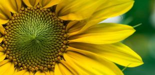 Прогноз погоди на 30 липня: де в Україні дощитиме