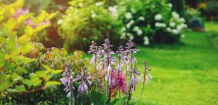 Гороскоп на 15 липня для всіх знаків зодіаку: день потужної позитивної енергетики