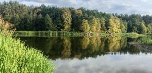 Гороскоп на 29 серпня для всіх знаків зодіаку: дуже успішний та продуктивний день