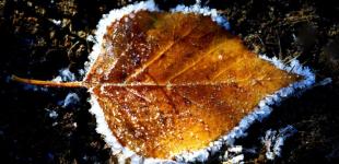 Синоптики повідомили про сильні заморозки в Україні: коли і де буде холодно