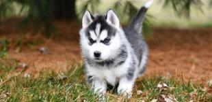 Накриє холодний фронт: синоптик попередив про різку зміну погоди в Україні