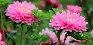 Неймовірна спека, подекуди з дощами: погода в Україні 17 серпня