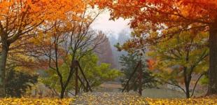 В Україну ввірветься похолодання, про бабине літо можна буде забути: синоптики назвали дату