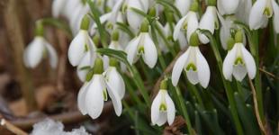 Зима в Україні триває вже не три місяці: відома метеорологка зробила прогноз