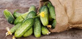 Чому корисно їсти огірки щодня: п'ять причин