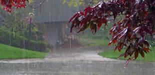 Прогноз погоди на 7 липня: Україну накриє спека до +38°, але будуть дощі та грози