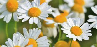 Спека до +32 і грози: синоптики дали детальний прогноз погоди до кінця тижня в Україні