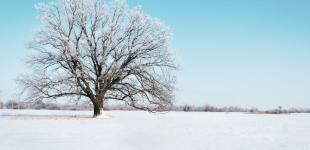 Холоди надовго не затримаються: синоптики розповіли, коли до України повернеться тепло