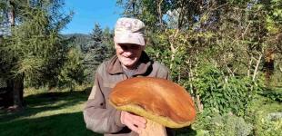 Не поміщається до кошика: в Карпатах 