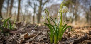 В Украину пришло долгожданное потепление: температура поднимется до +18