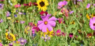 В субботу полоса дождей поползет к востоку Украины, уступая место антициклону