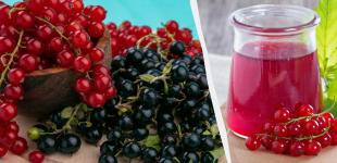 15 хвилин - і зі смородини виходять апетитні заготовки: прості рецепти желе та варення