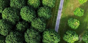 Що нам пророкують зірки: гороскоп на серпень 2026 року